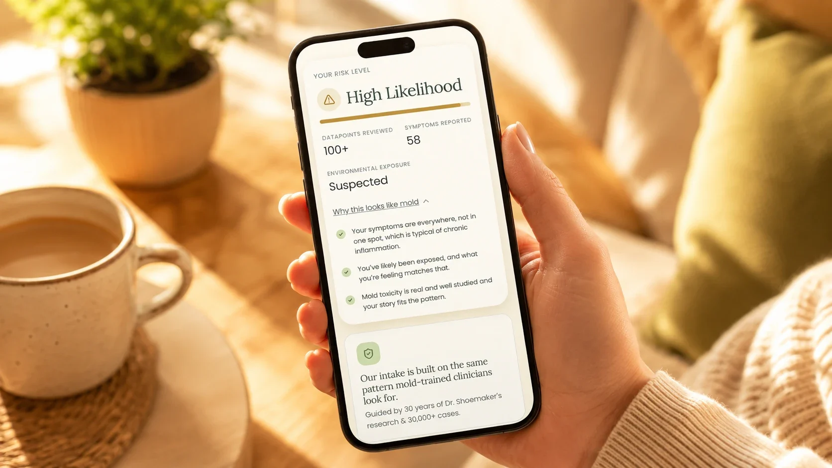 Person reviewing mold risk information on a phone